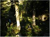 Planina Ravne - Kocbekov dom na Korošici